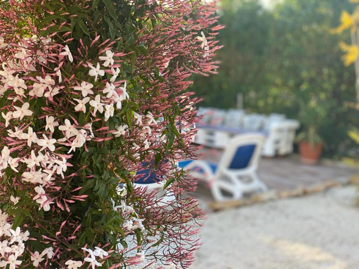 Lovely 2 Bed Apartment In อัลคาลาลี ภายนอก รูปภาพ